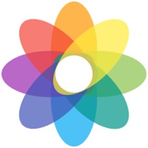 RoseBlog